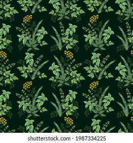 Garden herbs on the dark background pattern