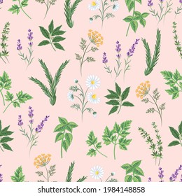 Garden Herbs Seamless Pattern Design