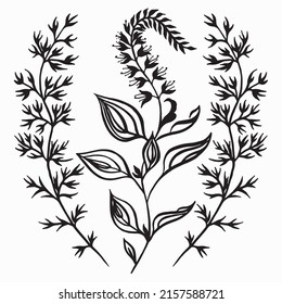 Garden herbs set. Black and white freehand drawing Isolated on white background. Blooming basil, parsley, illustration. Perfect for invitations, greeting cards, quotes, blogs, posters. Tattoo design.