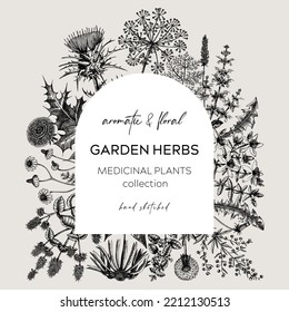 Garden herbs vinatge wreath. Aromatic plants border. Botanical design. Herbal tea ingredient sketches. Hand-drawn wildflower banners for cosmetics, perfumery, and herbal medicine. Floral card template