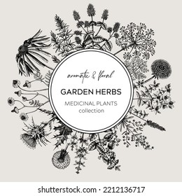 Garden herbs vinatge wreath. Aromatic plants border in sketched style. Botanical design. Herbal tea ingredient sketches. Hand-drawn flower banners for cosmetics, perfumery, and herbal medicine. 