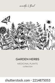 Garden herbs - vintage card. Aromatic plant frame. Botanical design sketched style. Herbal tea ingredients. Hand-drawn medicinal herbs for cosmetics or herbal medicine. Floral invitation