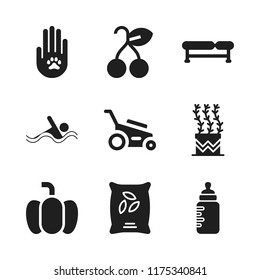 garden icon. 9 garden vector icons set. plant, bench and swimming icon icons for web and design about garden theme