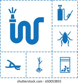 Garden icon. set of 6 garden filled icons such as beetle, garden tools, water hose, harden hose, sprout