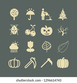 garden icon set with cherries, christmas tree and pumpkin vector illustration