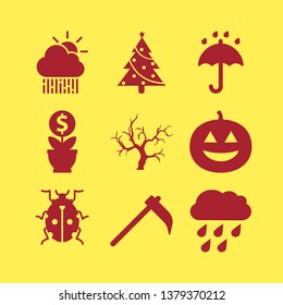 garden icon set with rain, ladybug and pumpkin vector illustration