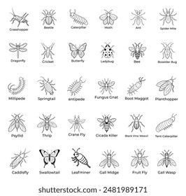 Garden Insect Line Art Collection, 30 Delicate Species