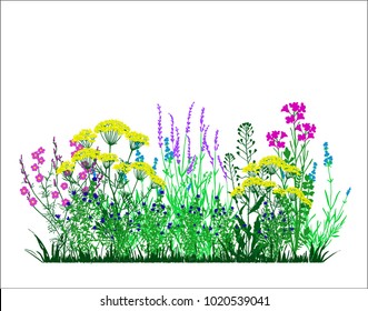 Garden landscapes, summer and spring flower bed. Vector illustrations