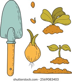  Garden. Large set of vector illustrations of agriculture. Garden tools, household collection. Growing vegetables. Spring greenhouse plants, seedlings, potting ladder, compost. Landscape design.