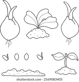  Garden. Large set of vector illustrations of agriculture. Garden tools, household collection. Growing vegetables. Spring greenhouse plants, seedlings, potting ladder, compost. Landscape design.