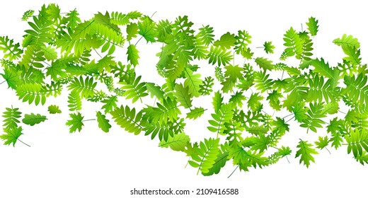 Garden leaves abstract vector design. Tropical garden foliage closeup. Rowan and maple leaves flying. Herbal natural wallpaper. Environmental beautiful vector.