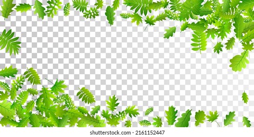 Garden leaves bright vector background. Tropical garden foliage macro. Mix of many different leaves isolated. Botanical natural illustration. Farm plantation vibrant backdrop.