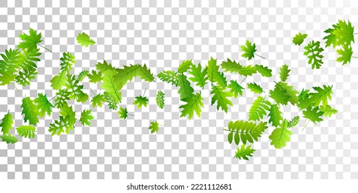 El jardín deja un fondo vectorial brillante. Cierre de follaje de jardín realista. Hojas de roble y arce cayendo. Concepto botánico natural. Entorno rústico y natural.