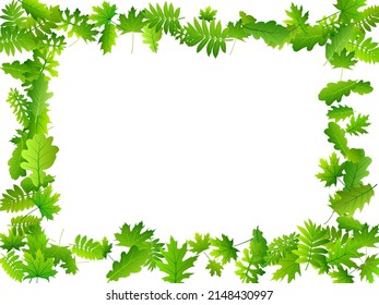 Garden leaves bright vector composition. Tropical garden foliage closeup. Rowan and maple leaves falling. Botanical eco concept. Ecology rustic backdrop.