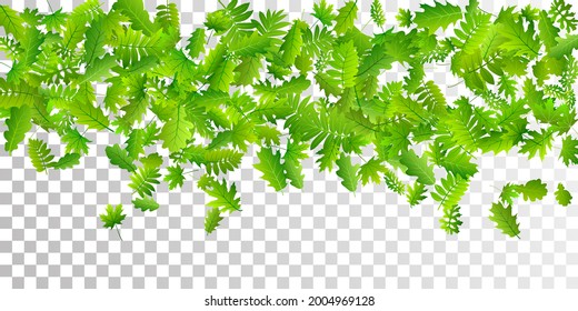 Garden leaves lush vector composition. Herbarium garden foliage closeup. Rowan and oak leaves flying. Herbal natural illustration. Agriculture rustic vector.