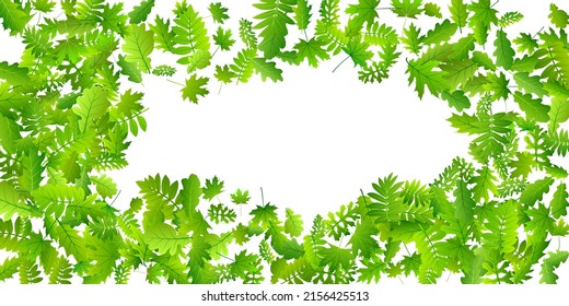 Garden leaves lush vector design. Realistic garden foliage macro. Rowan and maple leaves isolated. Botanical organic wallpaper. Wild nature delicate vector.