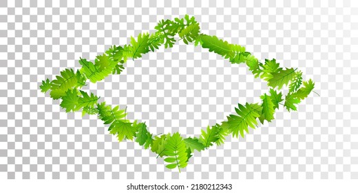 Garden leaves lush vector pattern. Tropical garden foliage closeup. Rowan and maple leaves flying. Botanical organic illustration. Ecology beautiful vector.