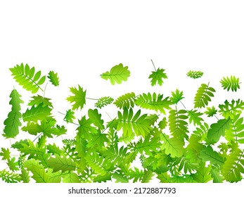 Garden leaves rustic vector composition. Wild garden foliage macro. Oak and maple leaves flying. Herbal eco concept. Agriculture lush vector.