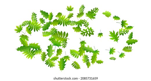Garden leaves vibrant vector backdrop. Realistic garden foliage closeup. Rowan and oak leaves isolated. Botanical eco wallpaper. Farm plantation subtle backdrop.