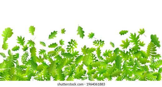 Garden leaves vibrant vector pattern. Herbarium garden foliage closeup. Mix of many different leaves isolated. Botanical organic background. Agriculture beautiful backdrop.