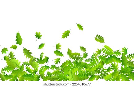 Garden leaves vibrant vector pattern. Tropical garden foliage macro. Oak and maple leaves flying. Herbal natural illustration. Fresh floral vivid vector.