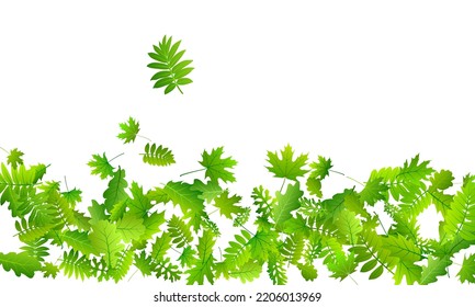 Garden leaves vivid vector background. Wild garden foliage macro. Rowan and oak leaves falling. Botanical natural design. Wild nature delicate vector.