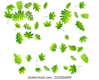 Garden leaves vivid vector design. Wild garden foliage macro. Mix of many different leaves composition. Herbal natural background. Fresh floral vibrant vector.