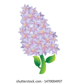 Garden lilac icon. Cartoon of garden lilac vector icon for web design isolated on white background