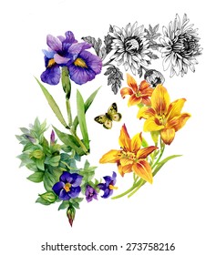 Garden Lily, Iris, African Violet, Saintpaulia Flowers Watercolor Pattern With Butterflies On White Background Vector Illustration