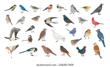 Garden little birds vector illustrations set.