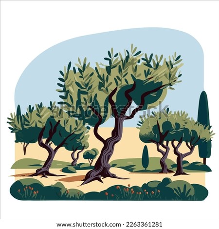 Garden of olive trees, vector illustration.