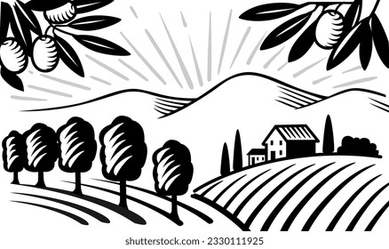 Garden of olive trees vector. Village landscape.