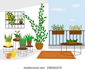 Garden on the balcony with flowers in pots and on shelves. Vector illustration. For use in flower shops, brochures, flyers, promotional illustrations, books and covers.