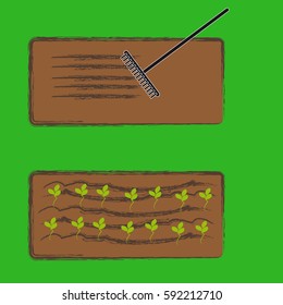 Garden on white background. Vector illustration.