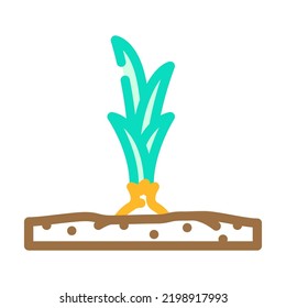 Garden Onion Color Icon Vector. Garden Onion Sign. Isolated Symbol Illustration