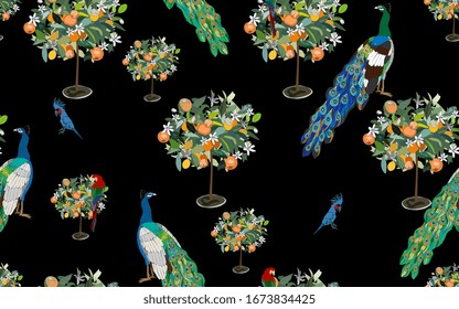 A garden with orange trees in bloom in which tame peacocks and cockatoo parrots walk on a dark indigo blue background. Seamless pattern with tropical birds and plants. Vector illustration.