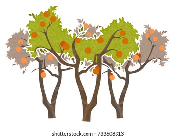 Garden of orange trees. Set of 3 trees