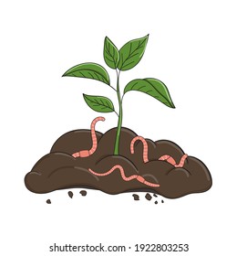 Garden organic fertilizer with worms. Ready compost pile with sprout. Recycling organic waste. Sustainable living concept. Hand drawn vector illustration.