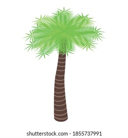 Icono de la palmera del jardín. Isométrico icono vectorial de palmera de jardín para diseño web aislado en fondo blanco