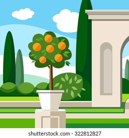 Garden, Park, orange tree, colored illustrations. In the Park grows an orange tree. Landscape design. Colored illustration.  
