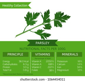 The garden parsley health benefits. Vector illustration with useful nutritional facts. Essential vitamins and minerals in healthy food. Medical, healthcare and dietory concept.