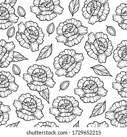 Garden peony flower pattern. Outline illustration of garden peony flower vector pattern for web design