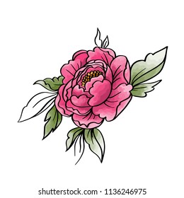 Garden peony. Watercolor, hand painted, isolated on white background. Vector illustration
