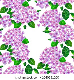 Garden Pink Hydrangea flowers. Botanical illustration in hand drawn style with text place. Lilac Flowers isolated. Vector floral design for cosmetics,textile prints, wedding birthday card.