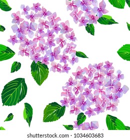 Garden Pink Hydrangea flowers seamless pattern. Botanical illustration in hand drawn style. Lilac Flowers isolated. Vector floral design for cosmetics perfume products, textile prints, wedding card.
