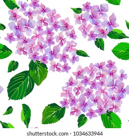 Garden Pink Hydrangea flowers seamless pattern. Botanical illustration in hand drawn style. Lilac Flowers isolated. Vector floral design for cosmetics perfume products, textile prints, wedding card.