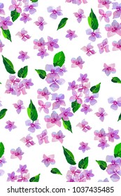 Garden Pink Hydrangea flowers seamless pattern. Botanical illustration in hand drawn style. Lilac Flowers isolated. Vector floral design for cosmetics perfume products, textile prints, wedding card.
