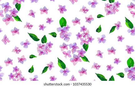 Garden Pink Hydrangea flowers seamless pattern. Botanical illustration in hand drawn style. Lilac Flowers isolated. Vector floral design for cosmetics perfume products, textile prints, wedding card.
