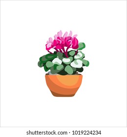Garden plant and fresh flowers, Chrysanthemum in a pot. Isolated on white background. Grow house plants, designed for greenhouse design. Vector illustration

