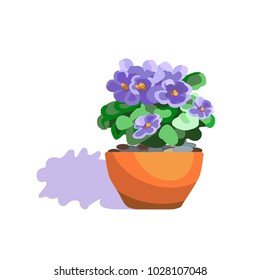 Garden plant and fresh flowers, Chrysanthemum in a pot. Isolated on white background. Grow house plants, designed for greenhouse design. Vector illustration